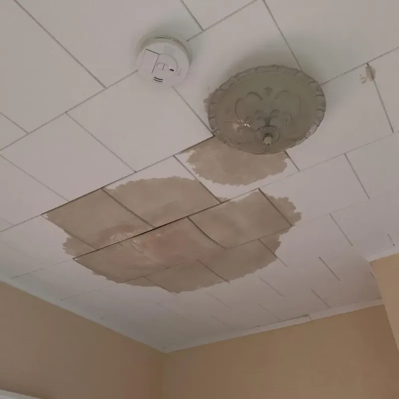 Ceiling Water Damage Repair in Tea, SD