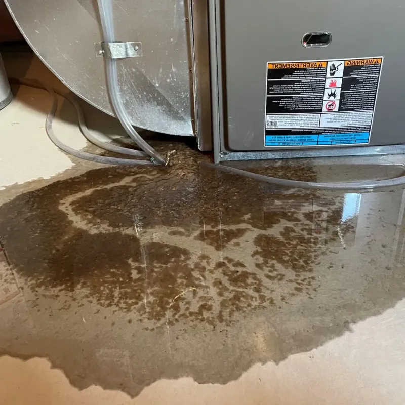 Pipe Burst and Leak Restoration in Tea, SD