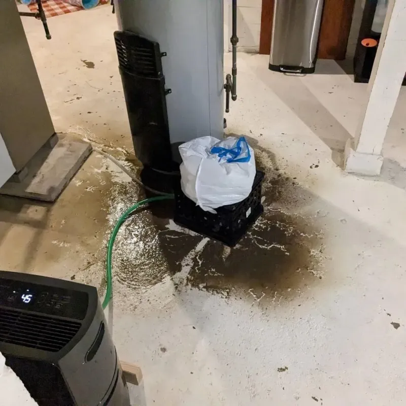 Sewage Backup Cleanup Service in Tea, SD